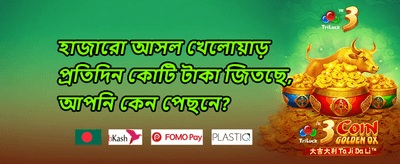 ফ্রি স্পিন উৎসব promotion image